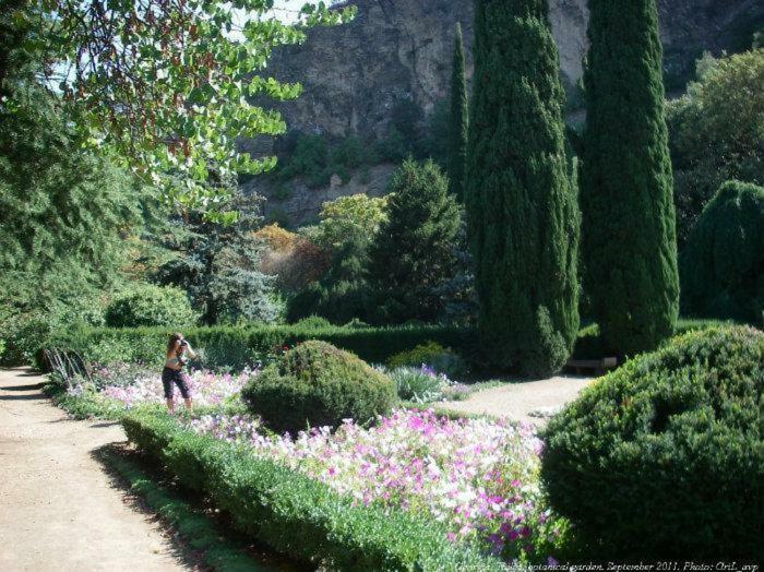 Wonderland Ξενοδοχείο Chakvi Εξωτερικό φωτογραφία