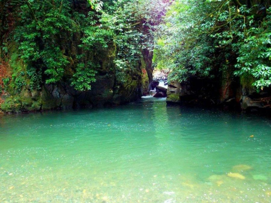 Wonderland Ξενοδοχείο Chakvi Εξωτερικό φωτογραφία